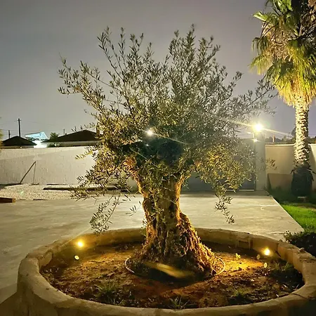Holiday home Vacacional Elia -piscina Privada, Bbq, Wifi Chiclana de la Frontera